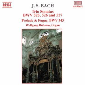 BACH J. S.: Trio Sonatas 1-3 - Wolfgang Rübsam - Musiikki - Naxos - 4891030506510 - keskiviikko 11. elokuuta 1993