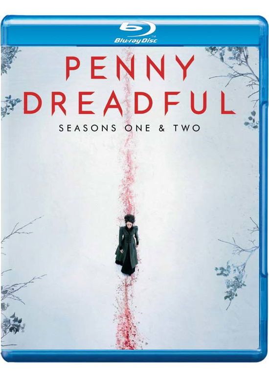 Penny Dreadful Seasons 1-2 - (UK-Version evtl. keine dt. Sprache) - Film - PARAMOUNT HOME ENTERTAINMENT - 5053083057510 - 26. oktober 2015