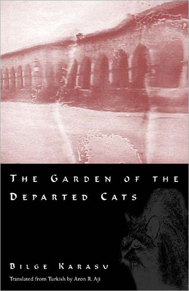 Cover for Bilge Karasu · The Garden of the Departed Cats (Paperback Book) (2003)