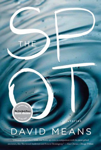 Cover for David Means · The Spot: Stories (Paperback Book) [Reprint edition] (2011)