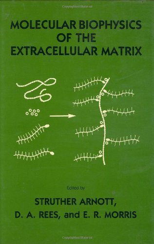 Cover for Struther Arnott · Molecular Biophysics of the Extracellular Matrix (Innbunden bok) [1984 edition] (1984)