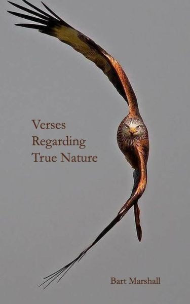 Cover for Bart Marshall · Verses Regarding True Nature (Paperback Book) (2019)