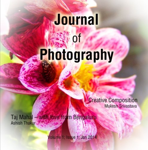 Cover for Cepek Media · Journal of Photography (Paperback Book) (2013)