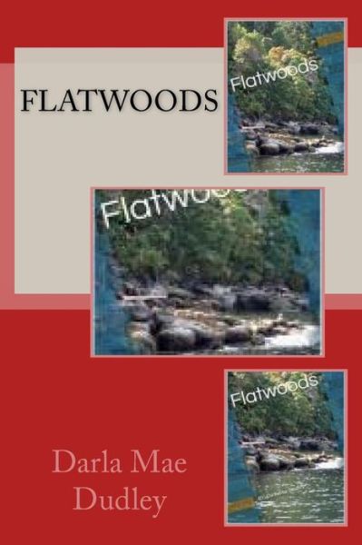 Cover for Darla Mae Dudley · Flatwoods (Paperback Book) (2015)