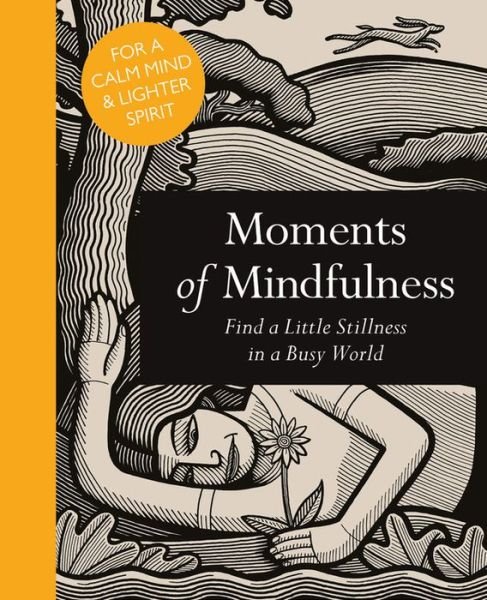 Cover for Adam Ford · Moments of Mindfulness: Find a Little Stillness in a Busy World - Mindfulness series (Gebundenes Buch) (2016)