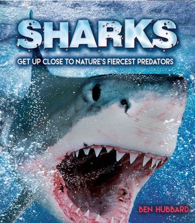 Sharks: Get Up Close to Nature's Fiercest Predators - Ben Hubbard - Livros - Hachette Children's Group - 9781783124510 - 10 de janeiro de 2019