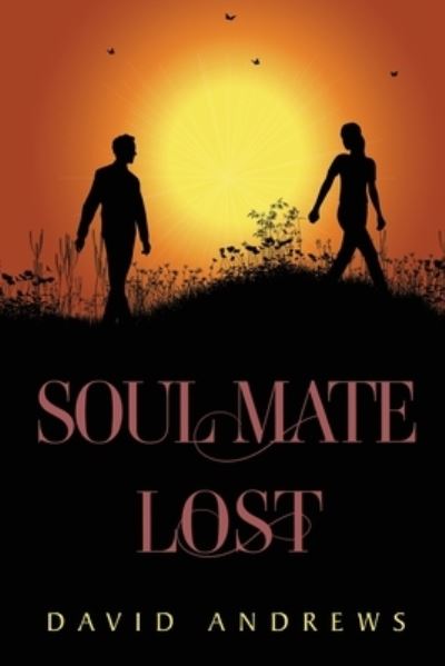 Cover for David Andrews · Soul Mate Lost (Paperback Book) (2023)