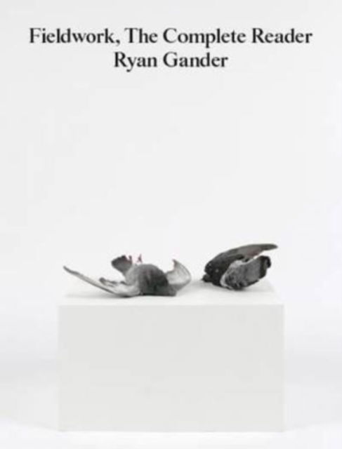 Cover for Ryan Gander · Fieldwork: The Complete Reader (Paperback Book) (2016)