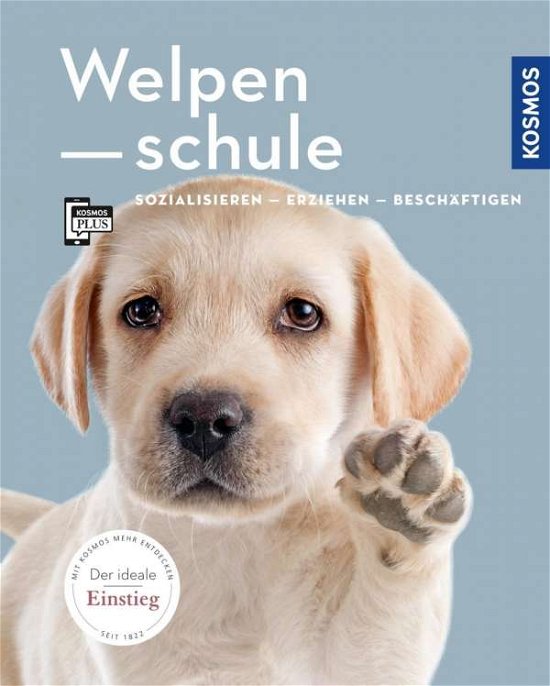 Cover for Jones · Welpenschule (Bok)