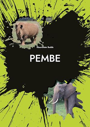 Cover for Klaus-Dieter Budde · Pembe (Book) (2023)