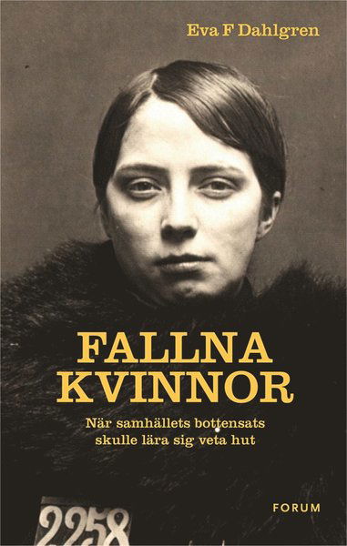 Cover for Eva F. Dahlgren · Fallna kvinnor : när samhällets bottensats skulle lära sig veta hut (ePUB) (2013)