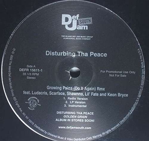 Cover for Disturbing Tha Peace · Growing Pains (LP) (1990)