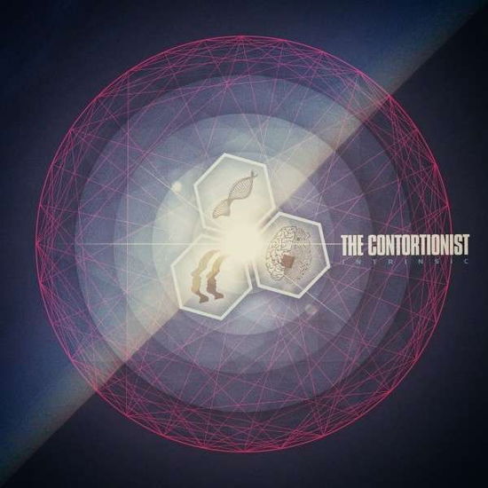 Cover for The Contortionist · Intrinsic (Ltd Blue / White Vinyl) (LP) [Limited edition] (2023)