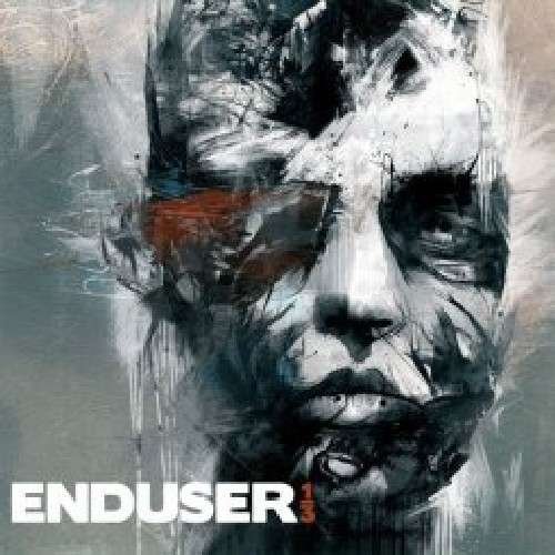1/3 - Enduser - Musik - AD NOISEAM - 0708527712511 - 4. maj 2010