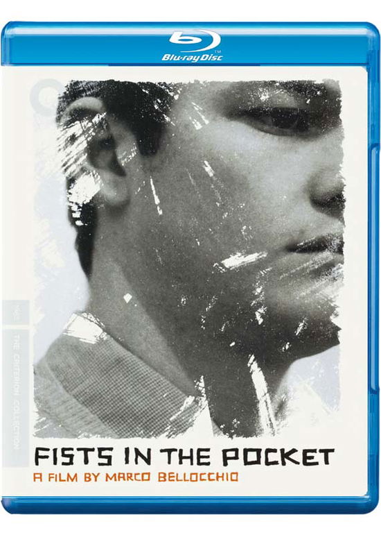 Cover for Criterion Collection · Fists in the Pocket BD (Blu-ray) (2019)