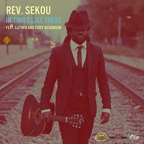 Cover for Rev.Sekou · In Times Like These (LP) (2017)