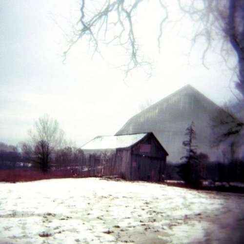 Cover for Horse Feathers · House With No Home (LP) (2009)