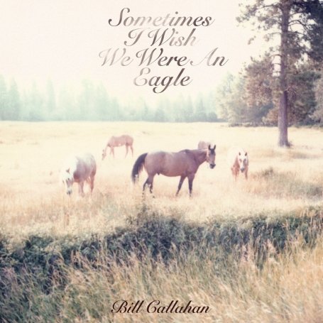 Cover for Bill Callahan · Sometimes I Wish We Were an Eagle (LP) [Standard edition] (2009)