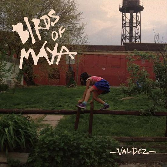 Cover for Birds Of Maya · Valdez (LP) (2021)