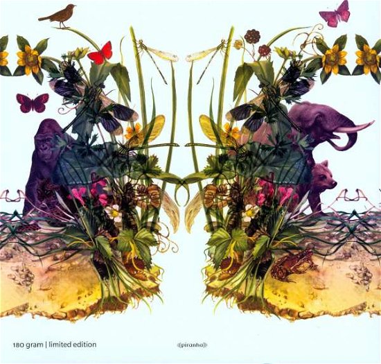 Cover for Dunkelbunt · Raindrops &amp; Elephants (LP) (2009)