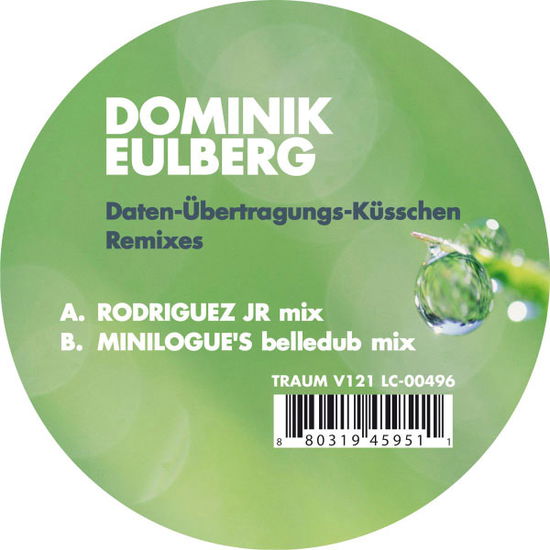 Cover for Dominik Eulberg · Daten-ubertragungs-kusschen Remixes (LP) [EP edition] (2010)