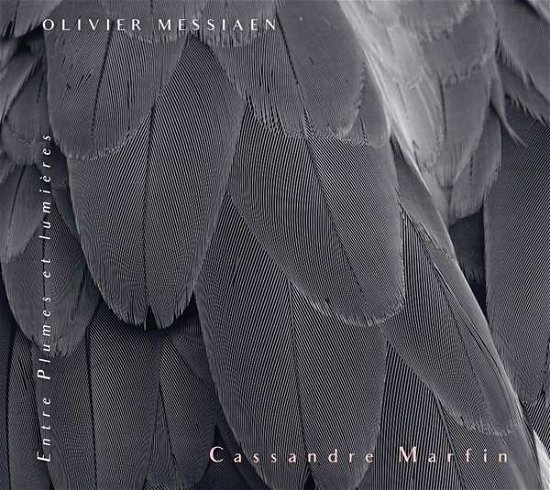 Cover for Cassandre Marfin · Entre Plumes Et Lumieres (CD) (2023)
