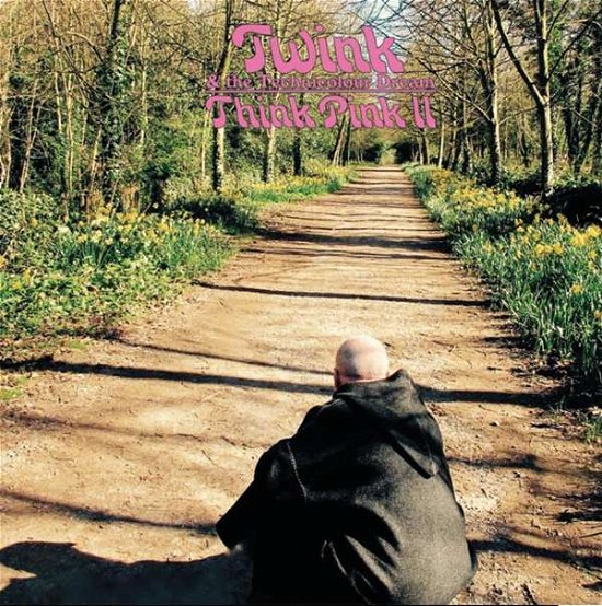 Twink · Think Pink 2 (CD) (2015)