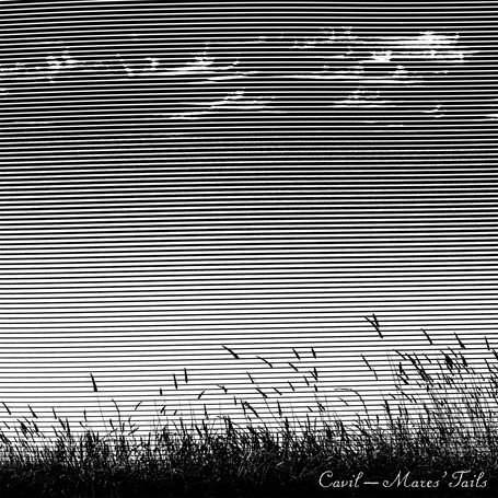 Cover for Cavil · Mares' Tails (CD) (2010)