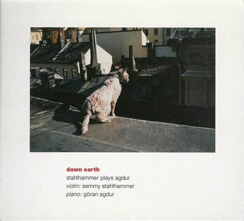Dawn Earth - Agdur,goran / Stahlhammer,semmy - Musik - NSG - 7330560991511 - 17. august 1999