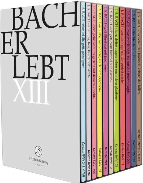 Cover for J.S.Bach-Stiftung / Lutz,Rudolf · Bach Erlebt XIII (DVD) (2020)