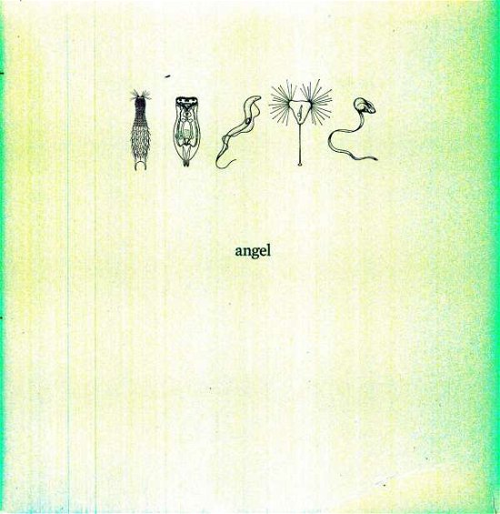 Cover for Angel · 26000 (LP) (2011)