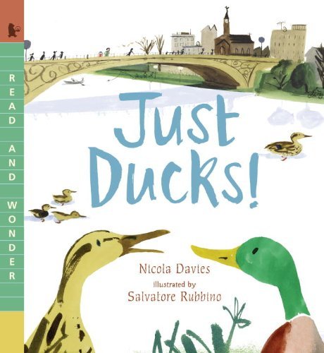 Cover for Nicola Davies · Just Ducks! (Read and Wonder) (Paperback Book) [Reprint edition] (2014)