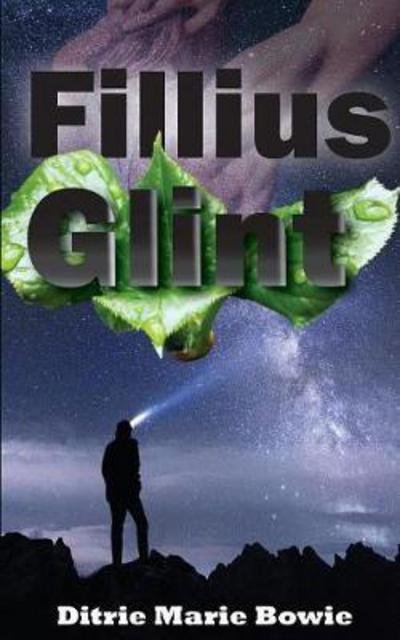 Cover for Ditrie Marie Bowie · Fillius Glint (Paperback Book) (2017)
