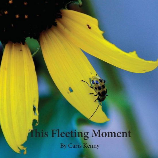 Cover for Caris Kenny · This Fleeting Moment (Paperback Book) (2016)