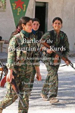 Cover for Thomas Schmidinger · Battle for the Mountain of the Kurds: Self-Determination and Ethnic Cleansing in Rojava (Pocketbok) (2019)