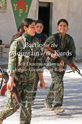 Cover for Thomas Schmidinger · Battle for the Mountain of the Kurds: Self-Determination and Ethnic Cleansing in Rojava (Paperback Book) (2019)