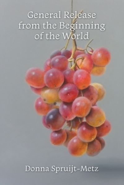 Cover for Donna Spruijt-Metz · General Release from the Beginning of the World (Book) (2023)