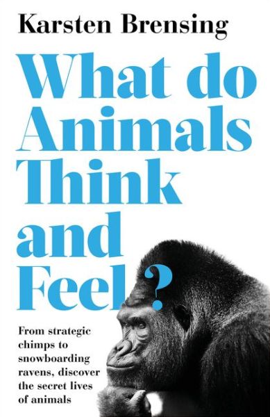 Cover for Karsten Brensing · What Do Animals Think and Feel? (Paperback Book) (2020)