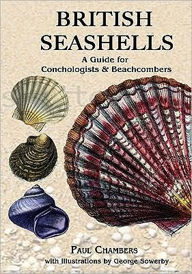 Cover for Paul Chambers · British Seashells: a Guide for Collectors and Beachcombers (Gebundenes Buch) (2010)