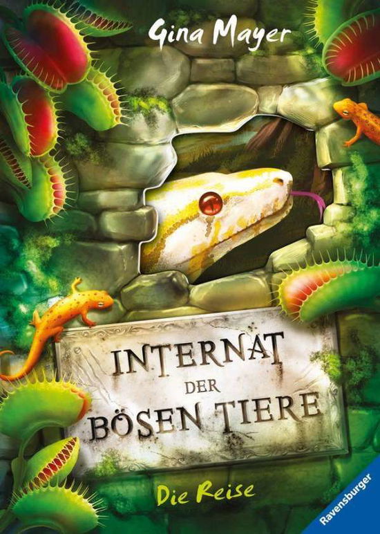 Cover for Mayer · Internat der bösen Tiere, Band 3: (Book)