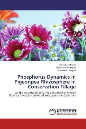 Cover for Meena · Phosphorus Dynamics in Pigeonpea (Bog)