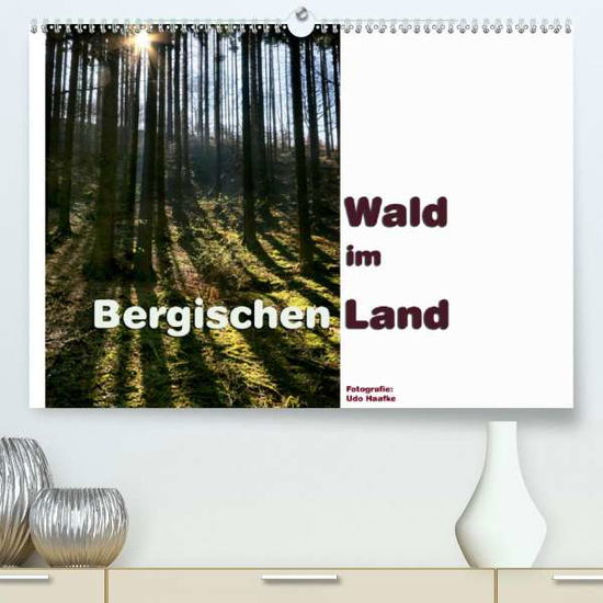 Cover for Haafke · Wald im Bergischen Land 2021 (Pr (Book)