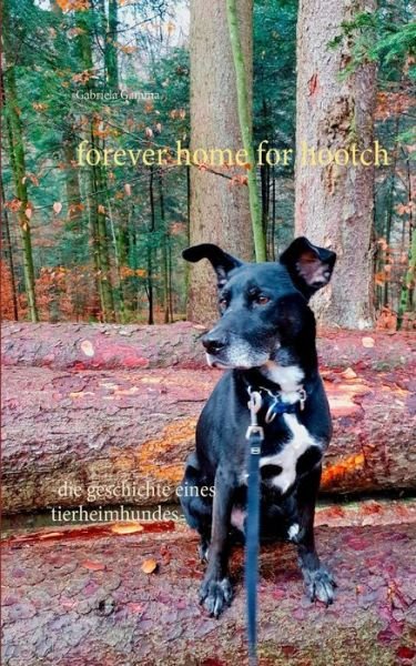 Cover for Gamma · Forever home for Hootch (Book) (2019)
