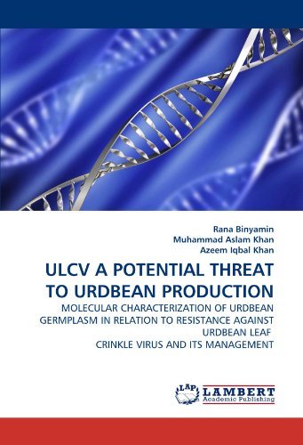Cover for Azeem Iqbal Khan · Ulcv a Potential Threat to Urdbean Production: Molecular Characterization of Urdbean Germplasm in Relation to Resistance Against Urdbean Leaf  Crinkle Virus and Its Management (Paperback Bog) (2010)