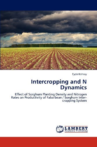 Cover for Eyob Kahsay · Intercropping and N Dynamics: Effect of Sorghum Planting Density and Nitrogen Rates on Productivity of Faba Bean / Sorghum Inter-cropping System (Pocketbok) (2012)