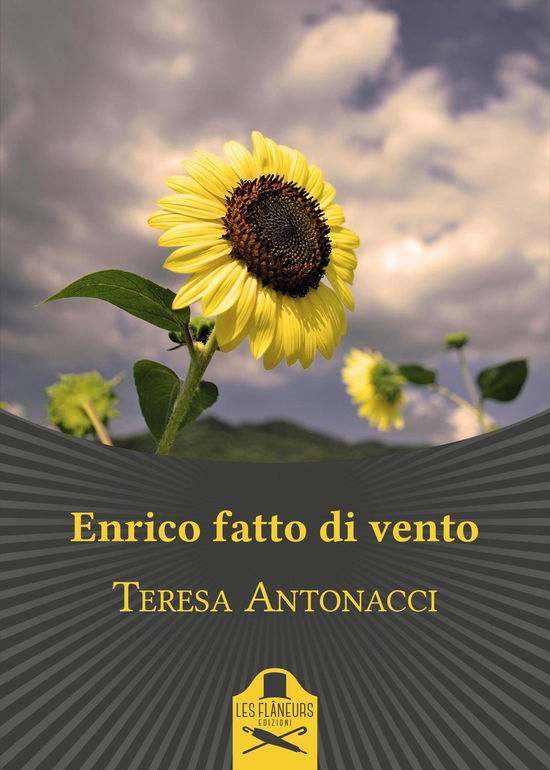 Cover for Teresa Antonacci · Enrico Fatto Di Vento (Book)