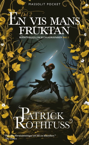 Cover for Patrick Rothfuss · En vis mans fruktan. Del 2 (Pocketbok) (2016)