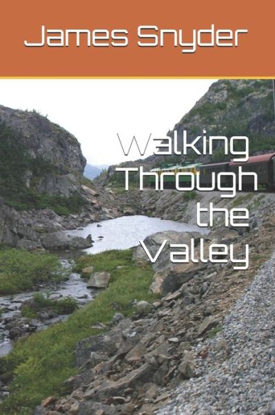 Walking Through the Valley - James L Snyder - Books - Independently Published - 9798613507511 - February 13, 2020