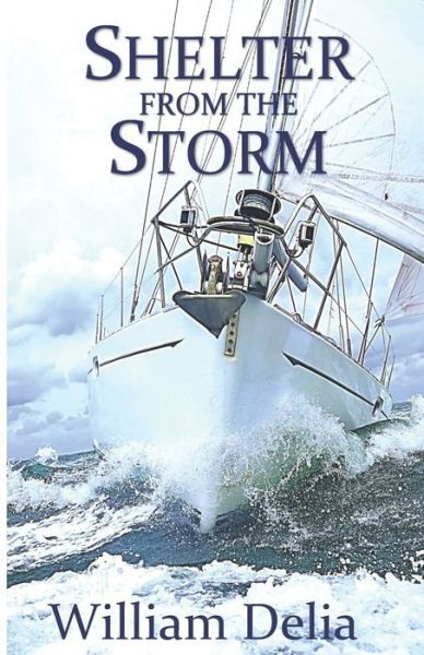 Shelter from the Storm - William Delia - Kirjat - Independently Published - 9798657435511 - maanantai 31. elokuuta 2020