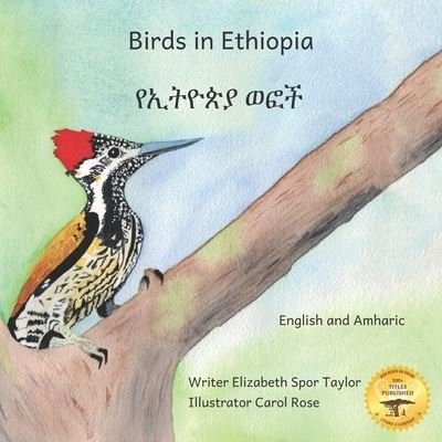 Birds in Ethiopia - Ready Set Go Books - Kirjat - Independently Published - 9798686653511 - keskiviikko 23. syyskuuta 2020
